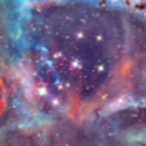 Meet your Posher, Camille